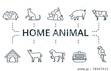 ベクター ピクトグラム セット 動物のイラスト素材