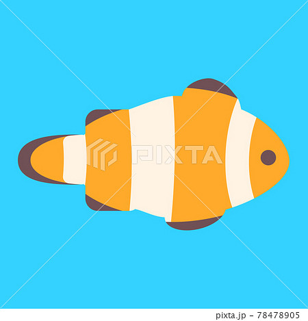 カクレクマノミのイラスト素材