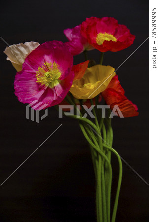 花 ポピー 花束 フラワーアレンジメントの写真素材