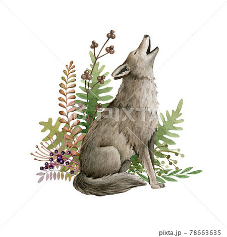 水彩画 おおかみ オオカミ 狼のイラスト素材