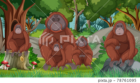 チンパンジーのイラスト素材集 ピクスタ