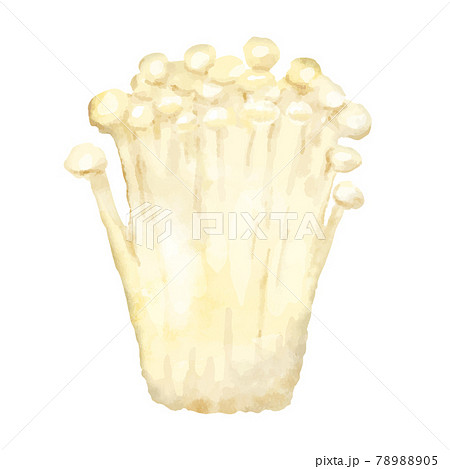 えのきのイラスト素材集 ピクスタ