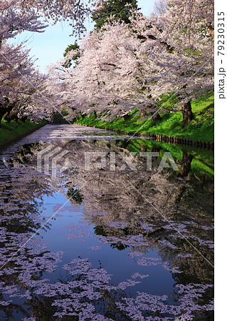 花筏の写真素材 - PIXTA