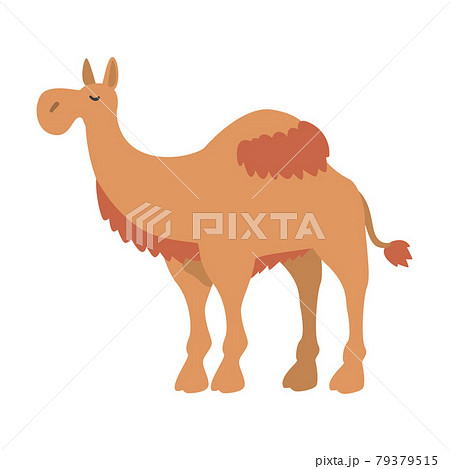 らくだのイラスト素材