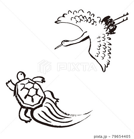 筆 墨 亀 カメの写真素材