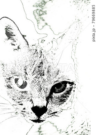 猫のデッサン 🐾 猫の日過ぎちゃったけど、描きかけだったタイルを仕上げまし