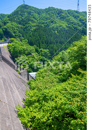 緑のダムの写真素材