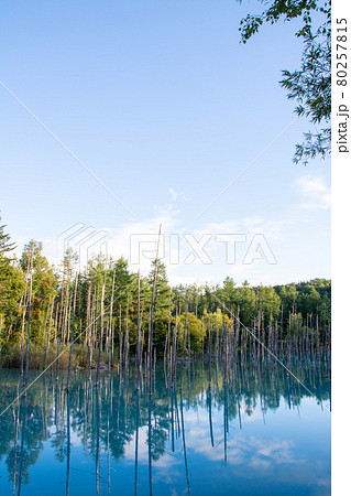 北海道 壁紙 美瑛 青い池の写真素材 北海道 壁紙 美瑛 青い池の写真素材