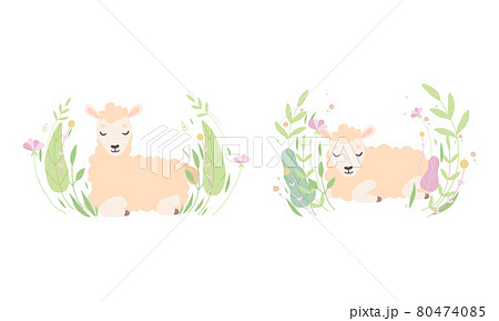動物 羊 イラスト 面白い 愛らしいのイラスト素材