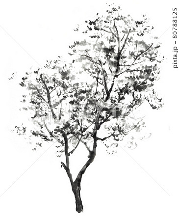 水墨画 木の写真素材 - PIXTA 水墨画 木の写真素材 - PIXTA