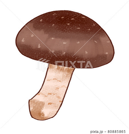 椎茸のイラスト素材