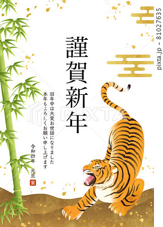 虎 和柄 ベクター カッコイイの写真素材