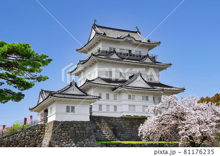 小田原城の写真素材