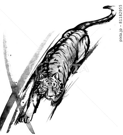 虎 動物 水墨画 モノクロのイラスト素材 - PIXTA