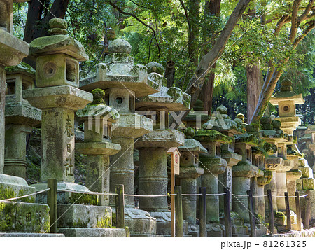 神社 苔 参道 灯篭の写真素材 - PIXTA