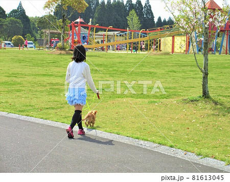 犬の遊具の写真素材