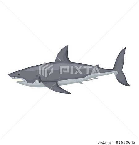 キャラクター 鮫 かわいい イラストの写真素材