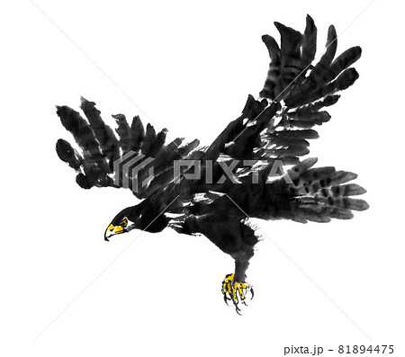 鷲 鳥 水墨画 飛ぶのイラスト素材 - PIXTA