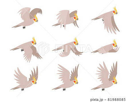 アニメーション 鳥 ベクトル 飛ぶのイラスト素材
