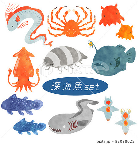 深海魚のイラスト素材集 ピクスタ