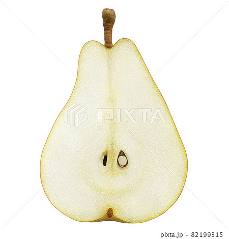 ラフランスのイラスト素材 ラフランスのイラスト素材