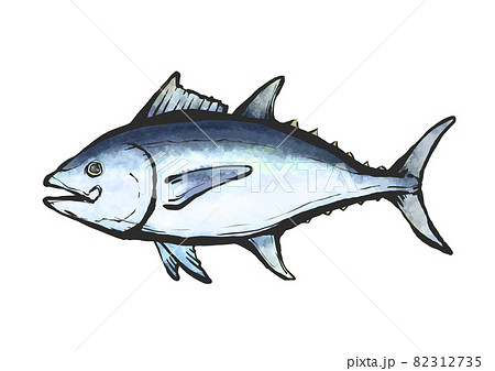 マグロ 魚のイラスト素材