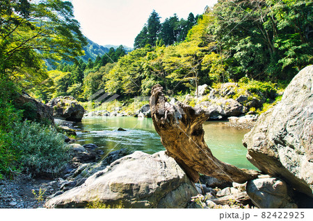 流木 多摩川 川 渓谷の写真素材 - PIXTA