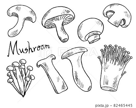 きのこやキノコの白黒手書きイラストイメージのイラスト素材