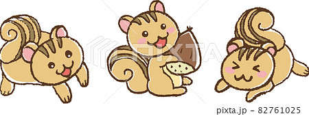 リス シマリス のイラスト素材集 ピクスタ