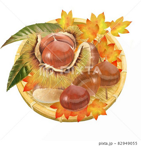 栗 かわいいのイラスト素材 栗 かわいいのイラスト素材