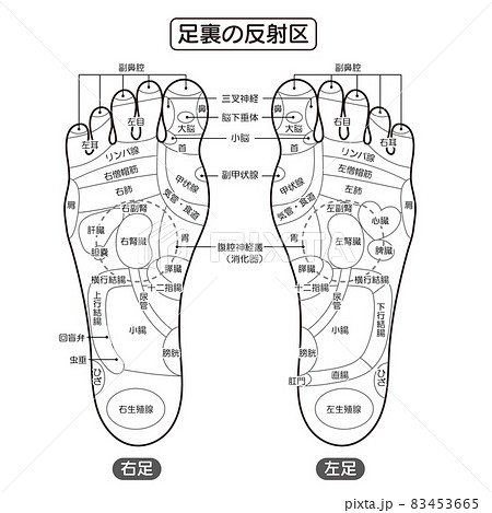 足つぼのイラスト素材