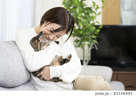 猫 ネコ 抱っこ 抱くの写真素材 猫 ネコ 抱っこ 抱くの写真素材