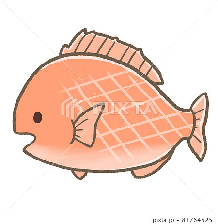 真鯛のイラスト素材