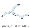 갈매기 일러스트 세트 - 스톡일러스트 [79013362] - Pixta