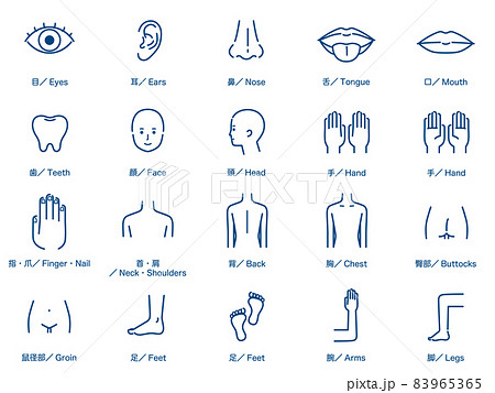 身体部位図