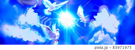 青空 鳩 空 鳥のイラスト素材 - PIXTA