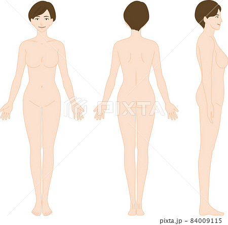 身体部位 人体 横のイラスト素材