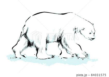 シロクマ 白熊 しろくま 夏のイラスト素材 シロクマ 白熊 しろくま 夏のイラスト素材