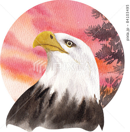 鷲のイラスト素材