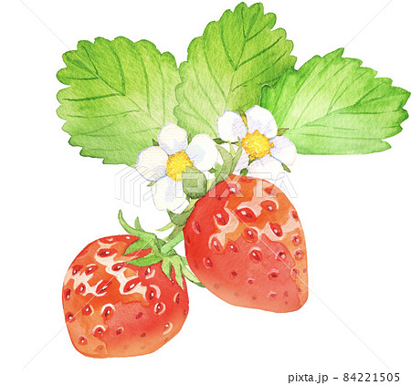 いちご イチゴ 苺 顔のイラスト素材
