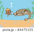 どんぐりころころのイラスト素材 どんぐりころころのイラスト素材