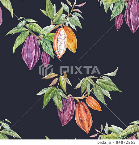カカオの花のイラスト素材