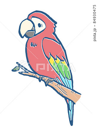 インコ オウムのイラスト素材集 ピクスタ