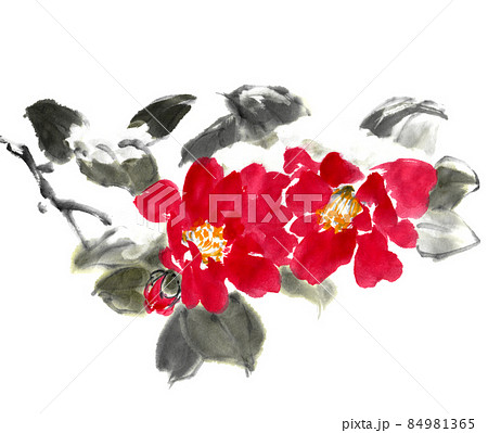 つばき 椿 冬 水墨のイラスト素材