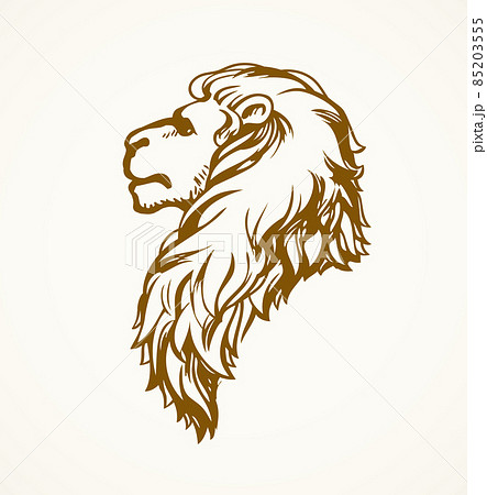 動物 ライオン 横顔 哺乳類のイラスト素材