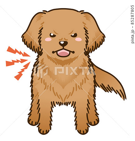 犬 ゴールデンレトリバー 唸る 怒るのイラスト素材 犬 ゴールデンレトリバー 唸る 怒るのイラスト素材