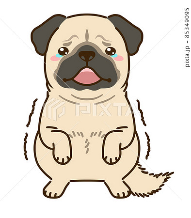 パグのイラスト素材集 ピクスタ