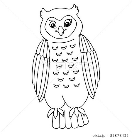 ふくろう フクロウ 梟 ぬりえのイラスト素材
