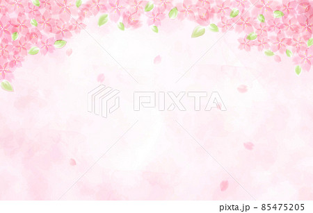 葉桜のイラスト素材