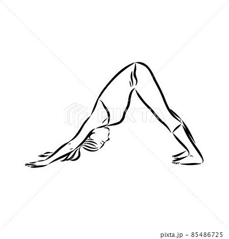 yoga pose. Line drawing. Healthy life concept - Stock Illustration  [85228473] - PIXTA